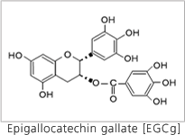 Epigallocatechin gallate[EGCg]